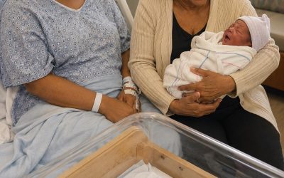 I h:id my career as a judge from my mother-in-law. After my C-section, she stormed in with adoption papers, demanding one twin for her infe:rtile daughter. I clutched my babies and pressed the panic button.