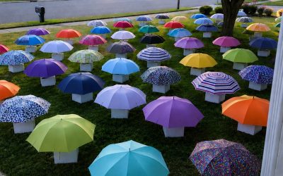 My Son Gave His Umbrella to a Pregnant Stranger in the Rain – The Next Morning, 47 Umbrellas Appeared on Our Lawn, Each With a Numbered Box That Made My Heart Stop