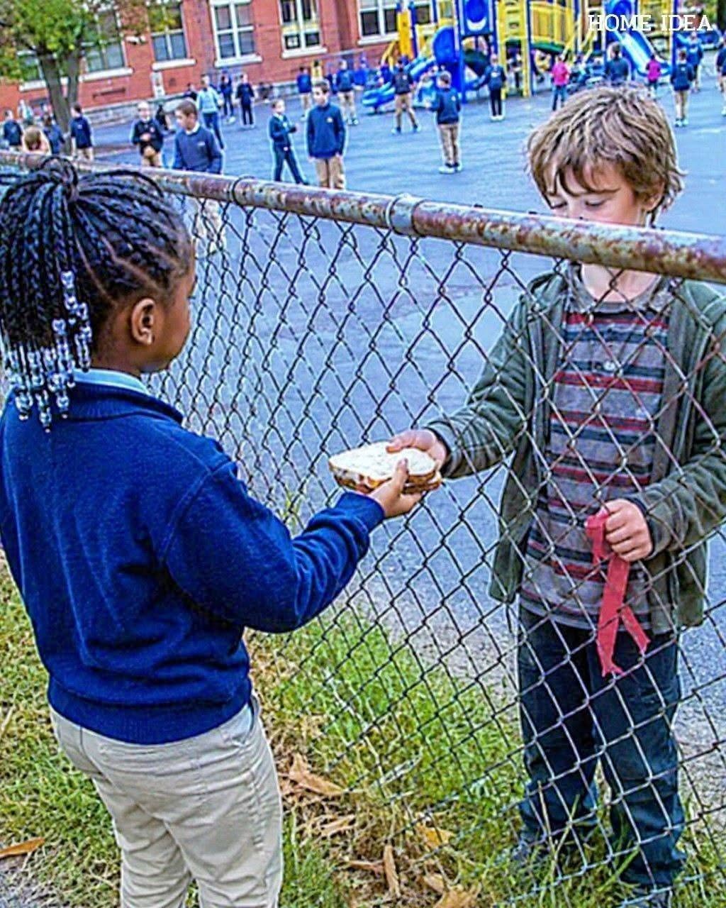 He Came Back Worth Millions for the Girl Who Fed Him Through a Fence.. sbl
