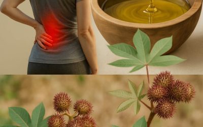 Seeing this plant is like finding ‘gold’ in the garden, don’t throw it away