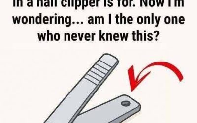 ✂️ Why Your Nail Clipper Has That Small Round Hole — and Why It Still Matters Today
