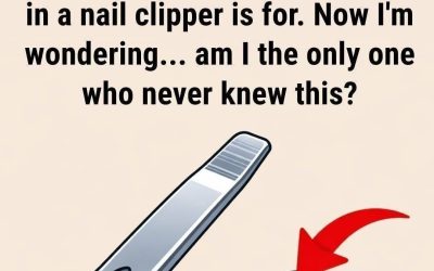 What’s the Small Round Hole on Your Nail Clipper For? A Tiny Detail with Surprising Purpose