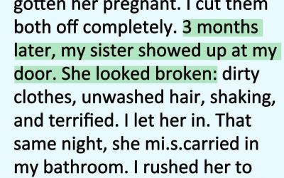 I Hated My Sister for Destroying My Marriage… Until the Night She Lost the Baby