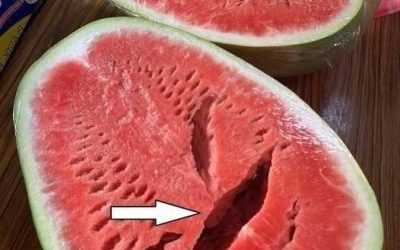 You cut open a watermelon and saw cracks? Stop eating it immediately! Here’s what it means!
